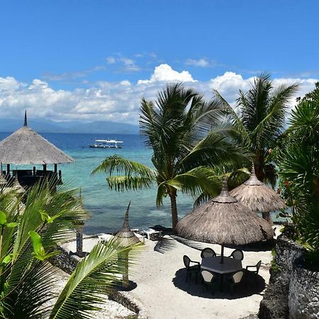 Dolphin House Resort Moalboal Exterior foto