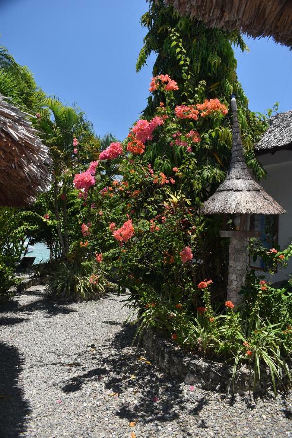 Dolphin House Resort Moalboal Exterior foto